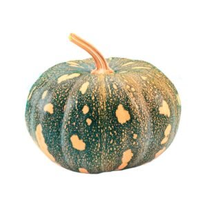 Abóbora-Jacarezinho