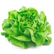 Alface-Lisa (Manteiga)