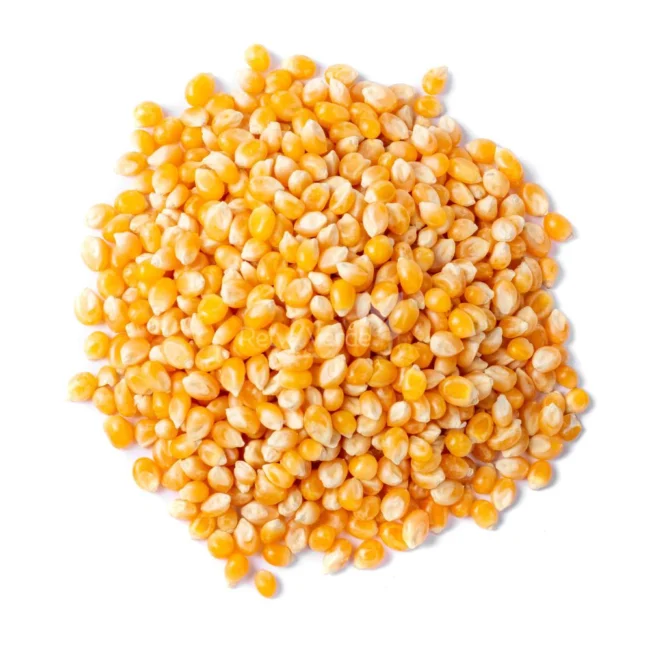 Milho de Pipoca 500g