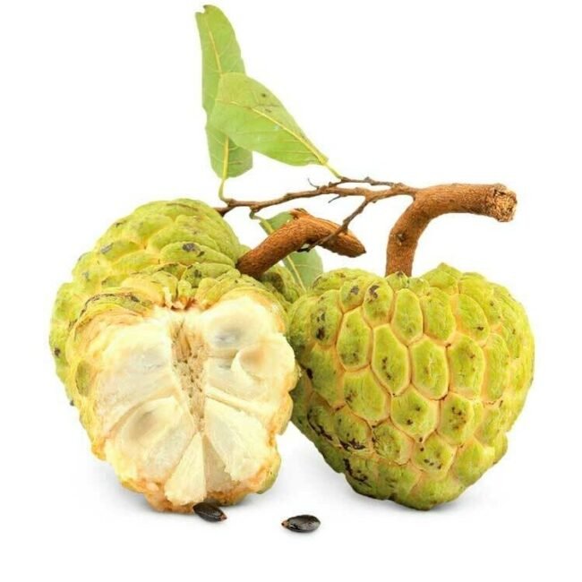 Pinha (Fruta-Do-Conde) 300g