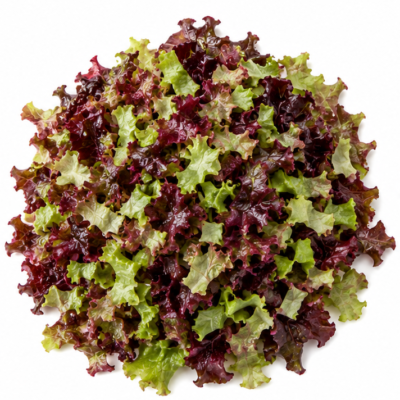 Alface-Roxa Picada 200g